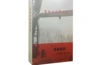 安全教育培训教材——《逾越红线的代价》